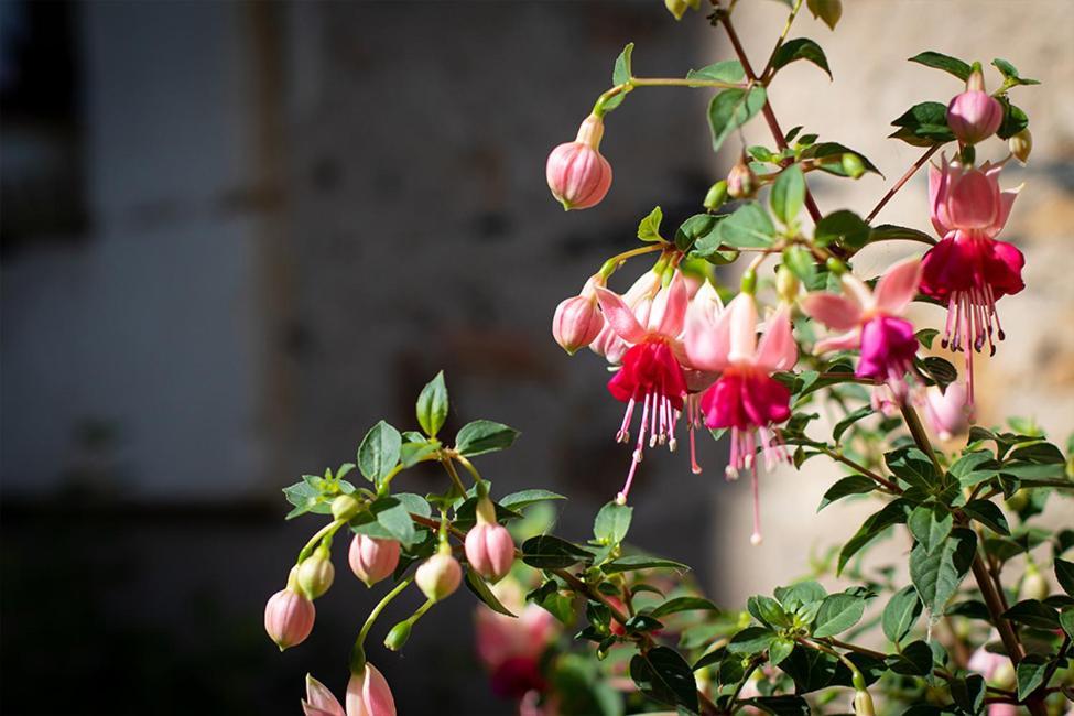 Confidences Escale A Brissac Bed & Breakfast ภายนอก รูปภาพ